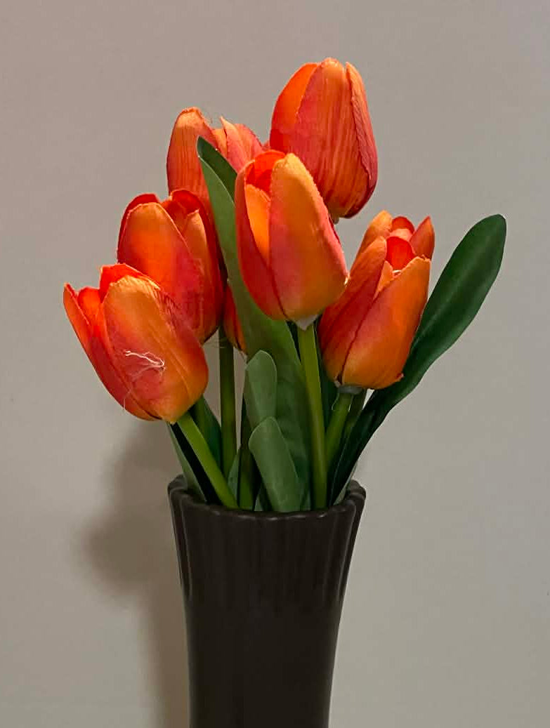 SB2375-ORG - 16" Tulip Bush