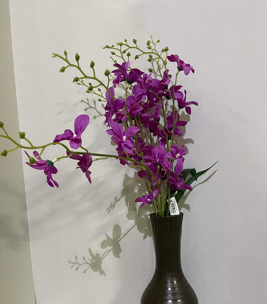 B20234LV - Mini Orchid Bush