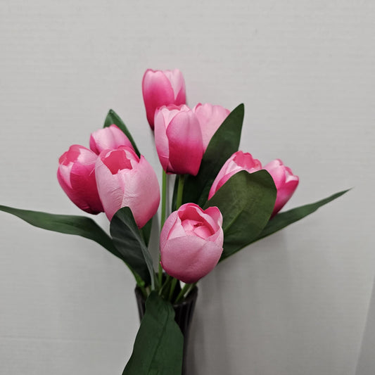GPB25396-PK/BT - 16" Tulip Bush