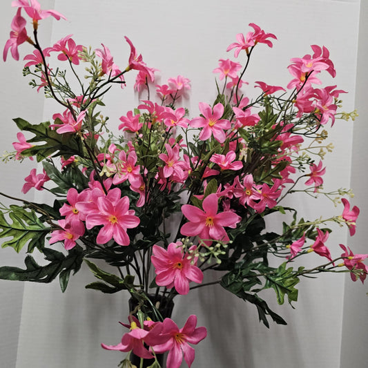 Stardrift Bush - GPB24370-PINK