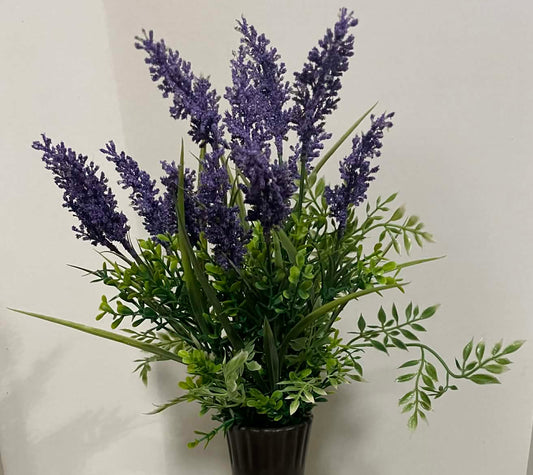 82390-PU - Astilbe Mix Bush