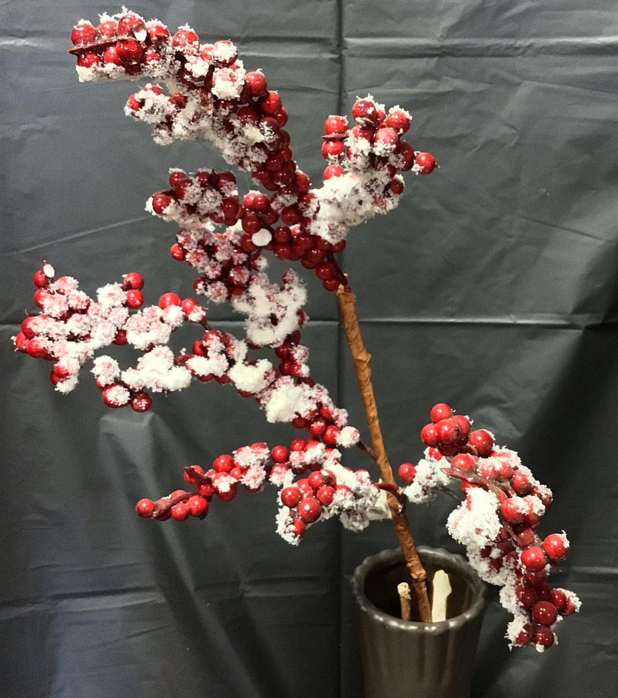 131789 - 24" Berry with Snow Spray