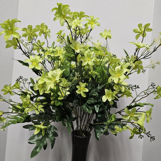 Stardrift Bush