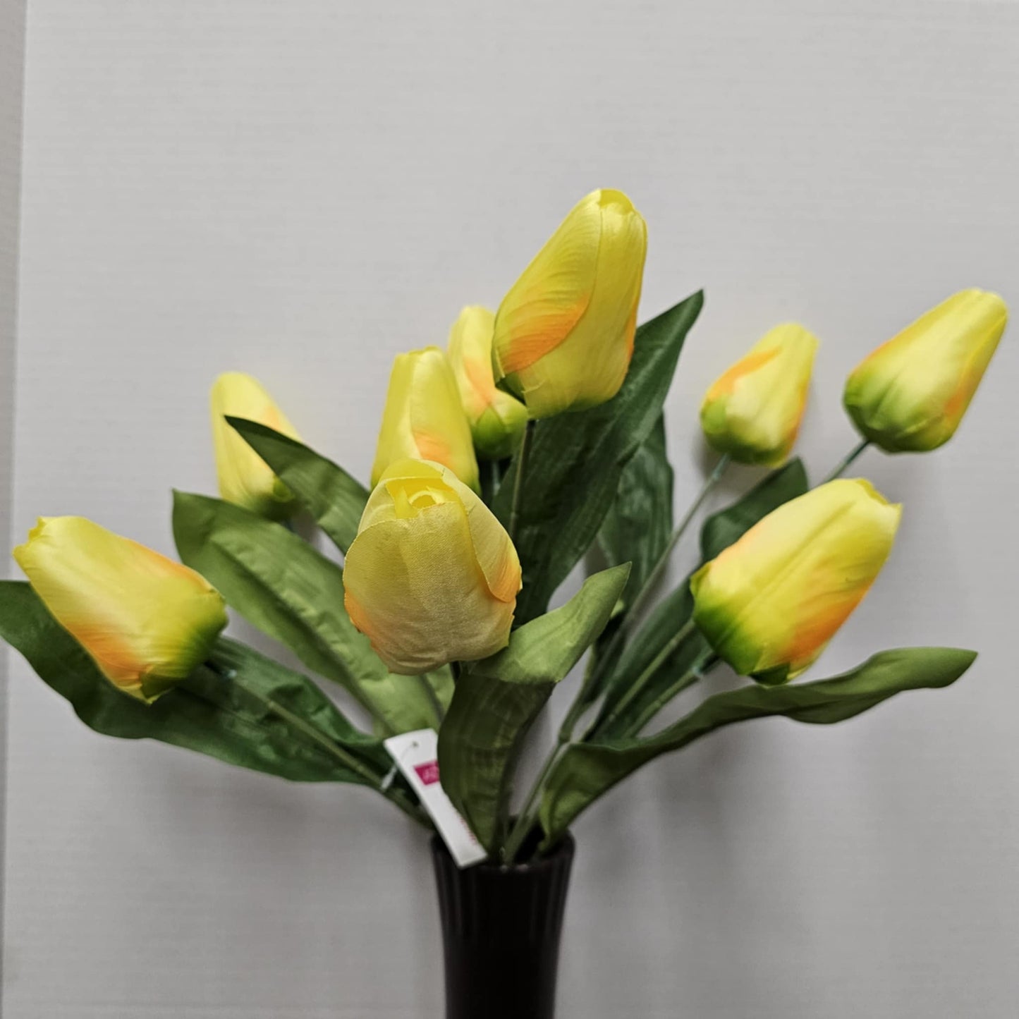 21" Tulip Bush