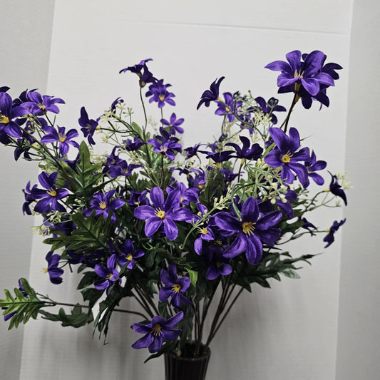 Stardrift Bush - GPB24370-PURPLE