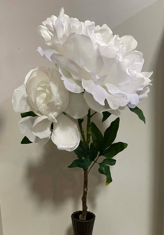 84250-WHT - 30" Peony Spray