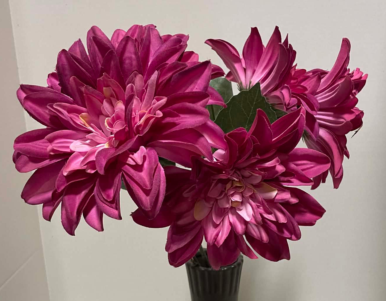21396-MAG - Deluxe Dahlia Bush