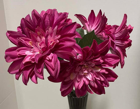 21396-MAG - Deluxe Dahlia Bush