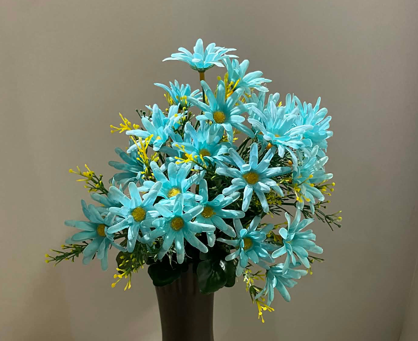 B20500 TIFF- Common Daisy