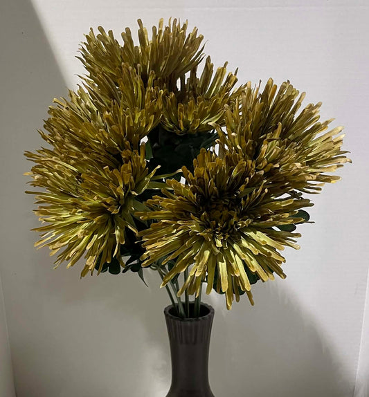 GPB6318-MOSS - Mum Bush