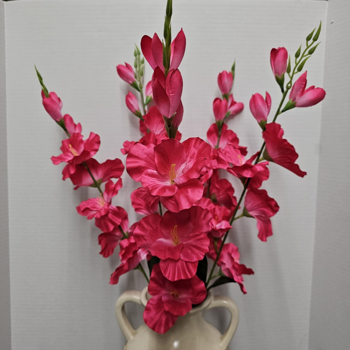 Gladiola Bush