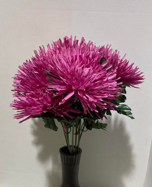GPB6318-BTY - Mum Bush
