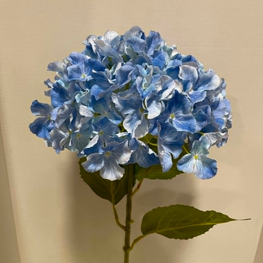 79402-BL - Jumbo Hydrangea