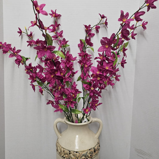 GPB3355-BTY - Star Bush
