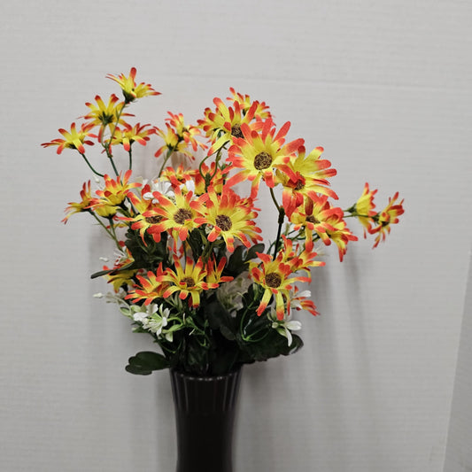 19" Mini Daisy Bush