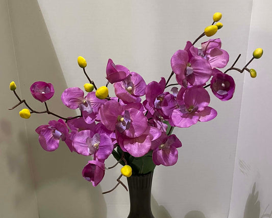 82469-MV - 26" Orchid Bush
