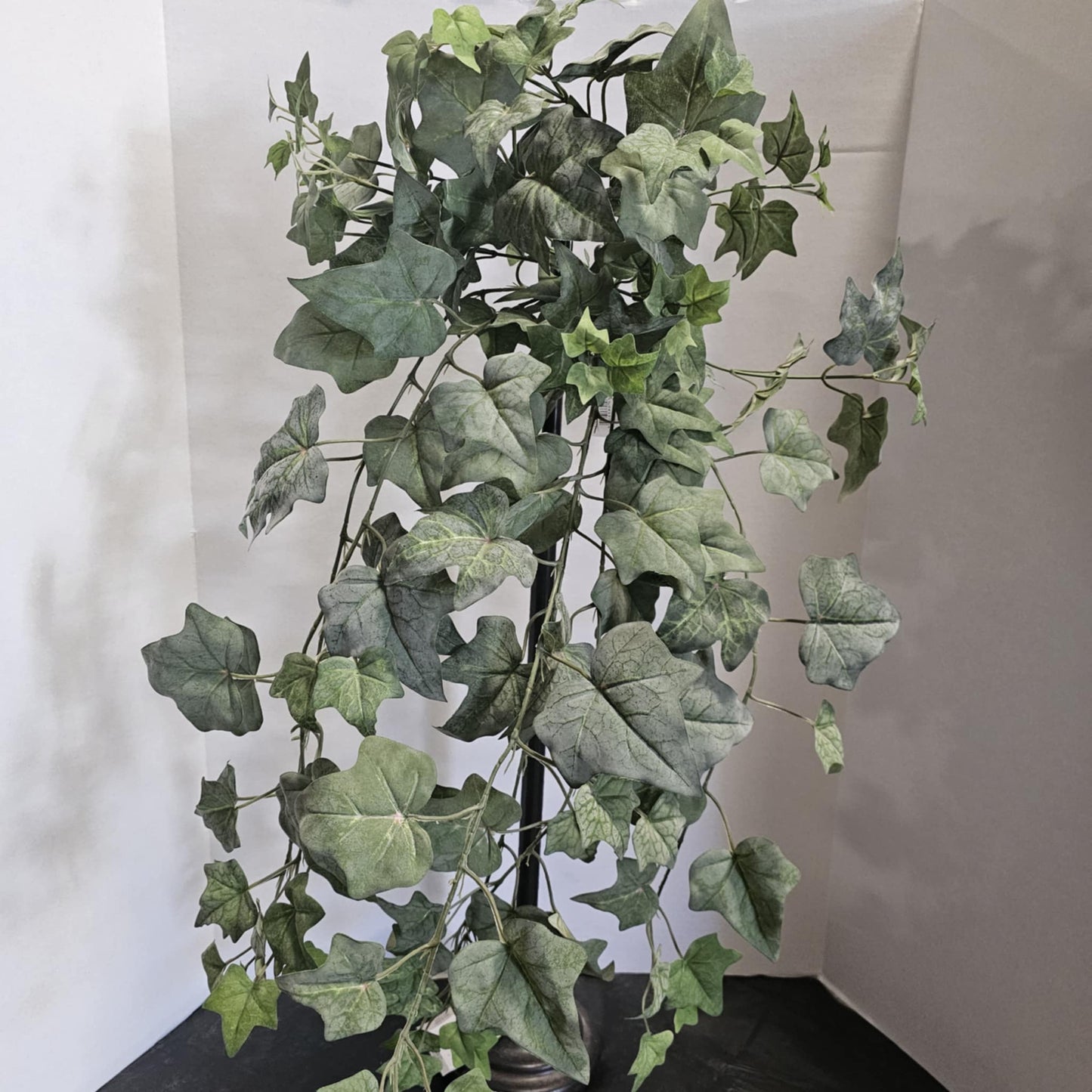 168 Leaves Ivy Bush