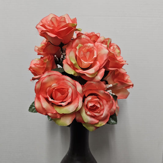 Rose Bush