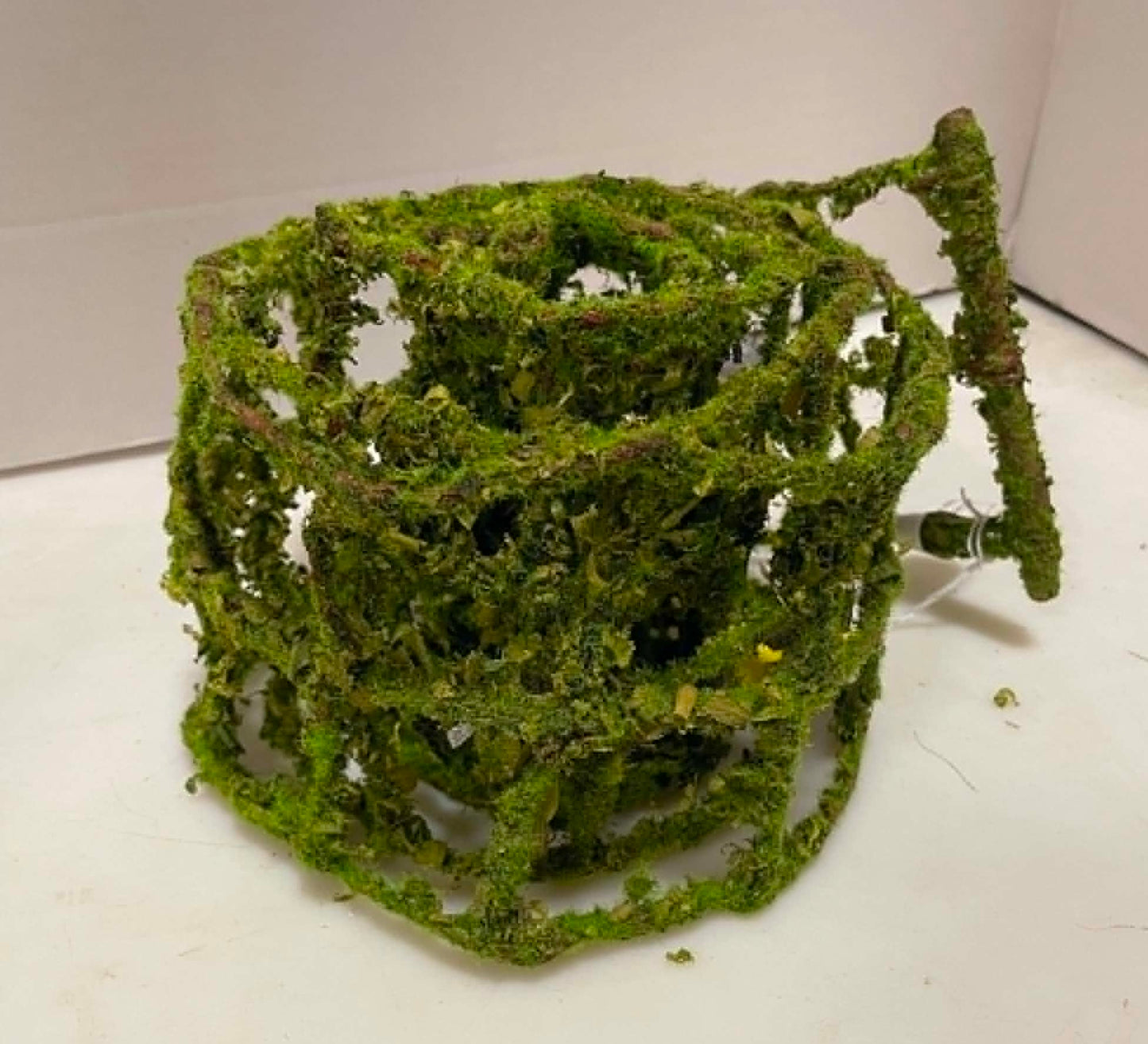 SA6000 - Moss Ribbon