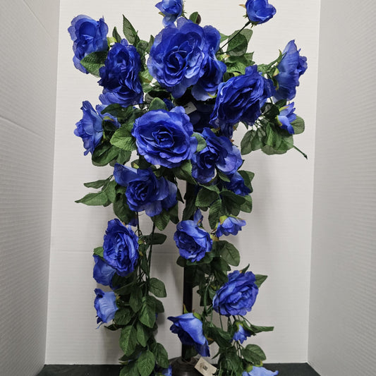 Rose Hangea Bush