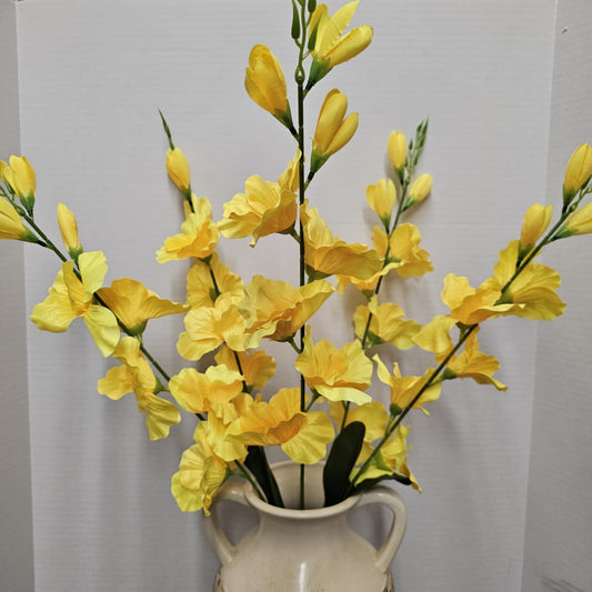 Gladiola Bush