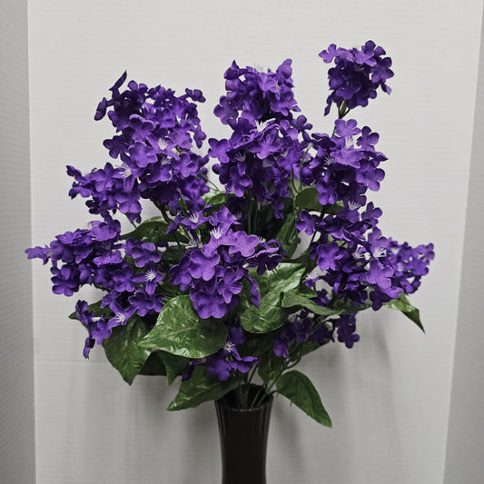 Lilac Bush