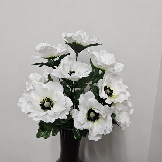 Anemone Bush