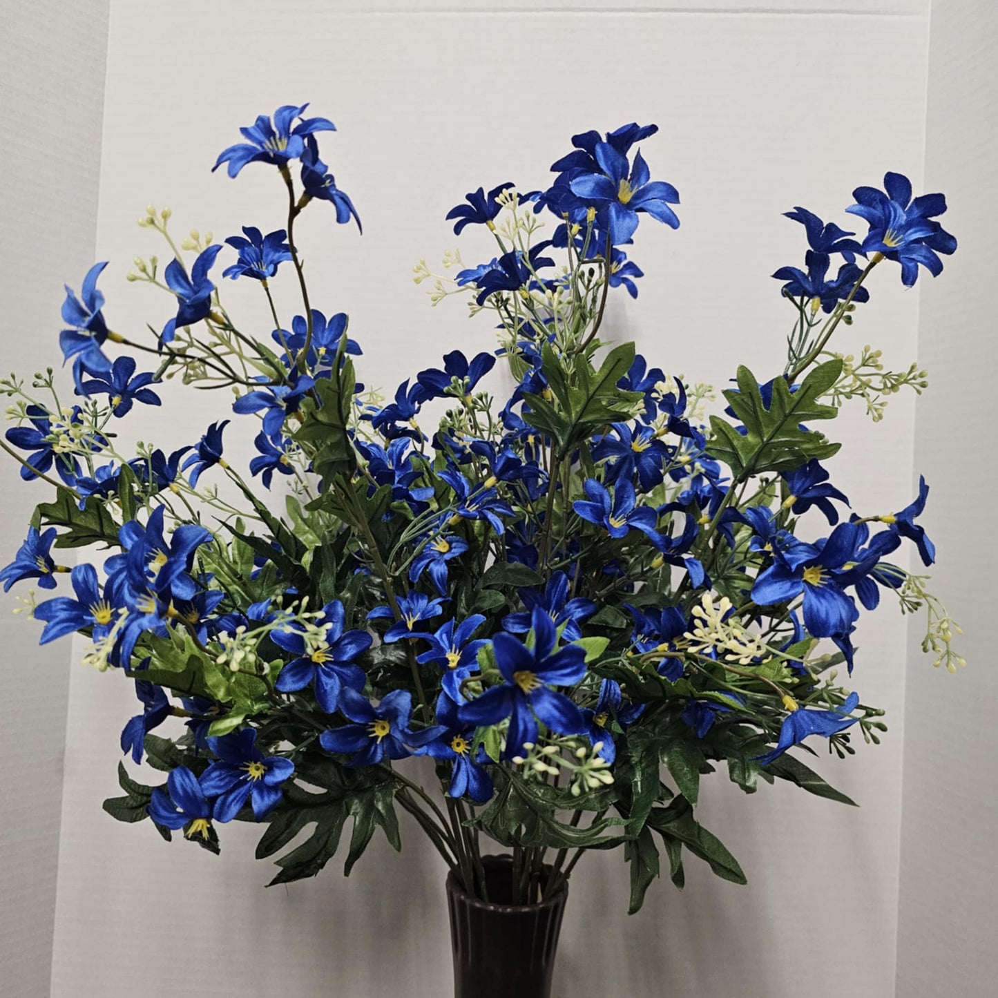 Stardrift Bush