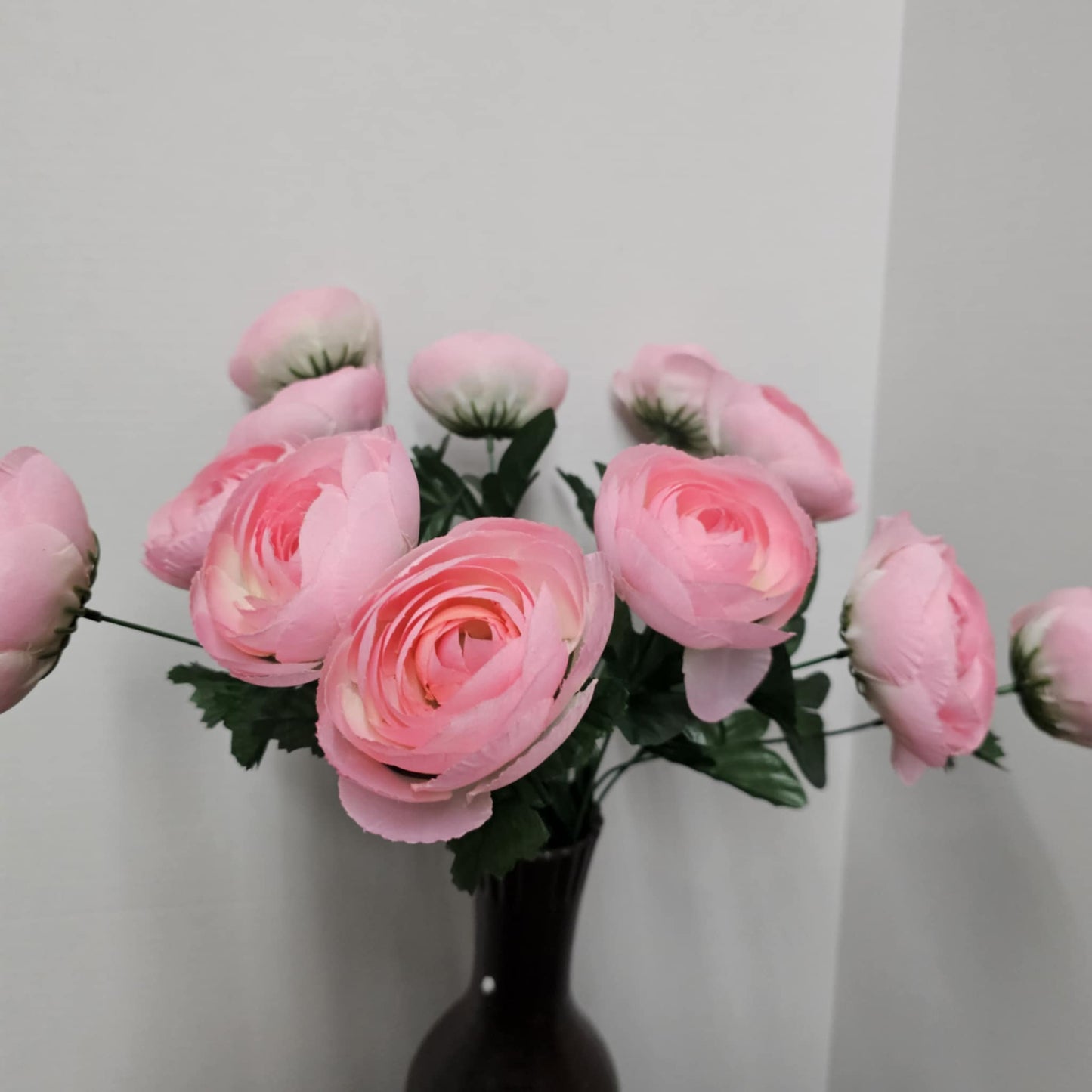 Ranunculus Bush