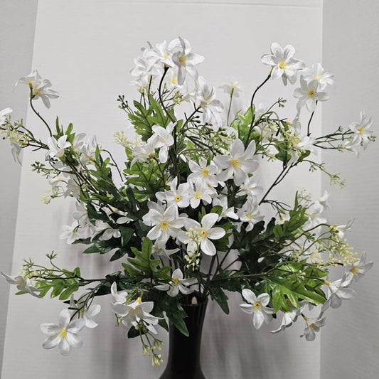 Stardrift Bush - GPB24370-CREAM