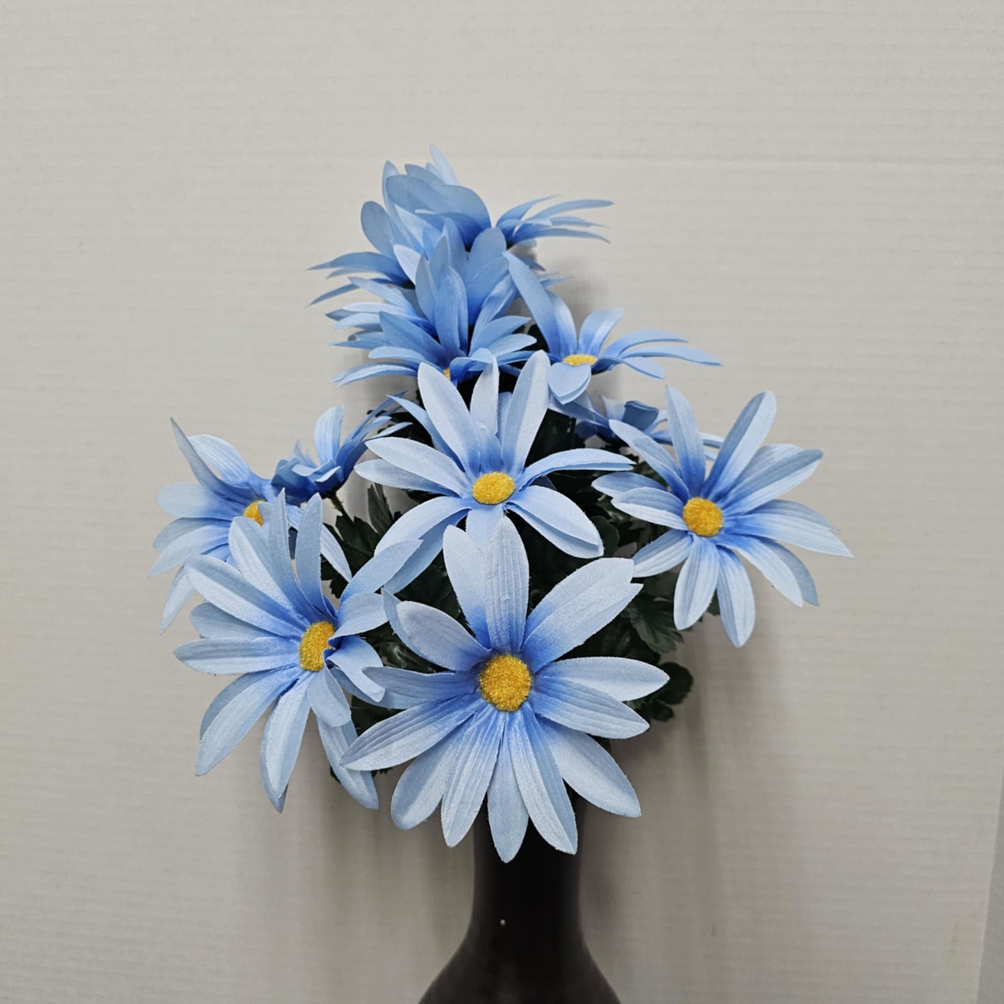 Daisy Bush