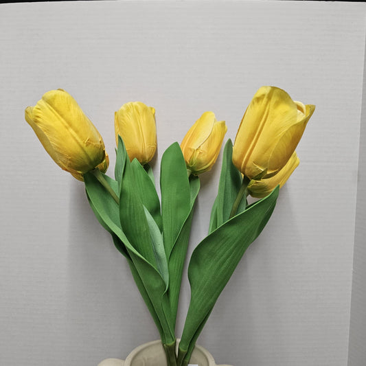 26" Tulip Bundle