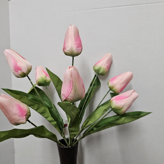 GPB25391-PINK - 21" Tulip Bush