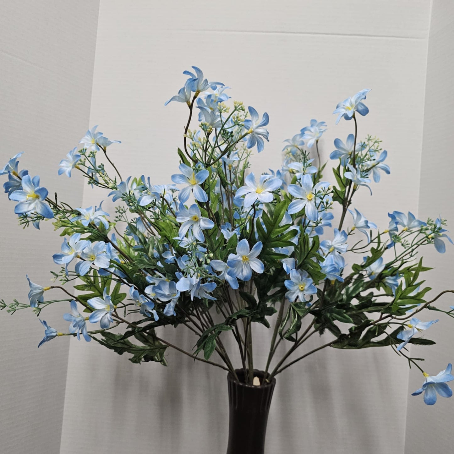 Stardrift Bush