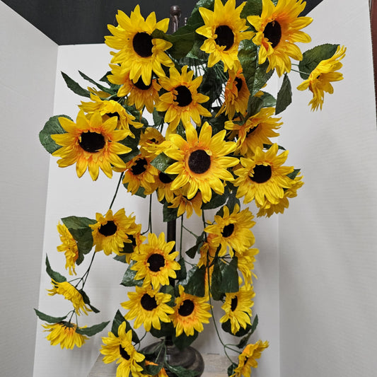 Sunflower Hanging Bush