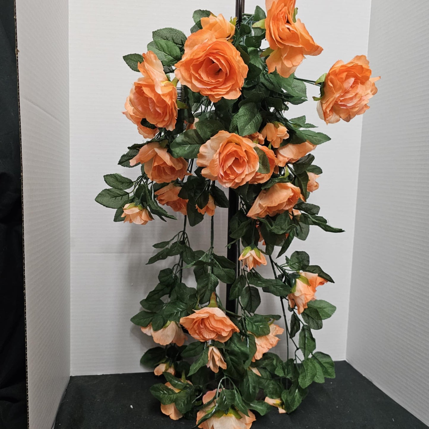 Rose Hangea Bush