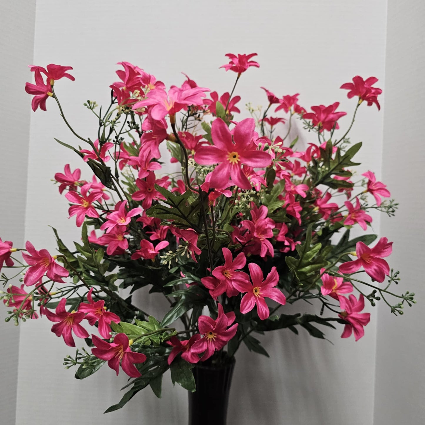 Stardrift Bush