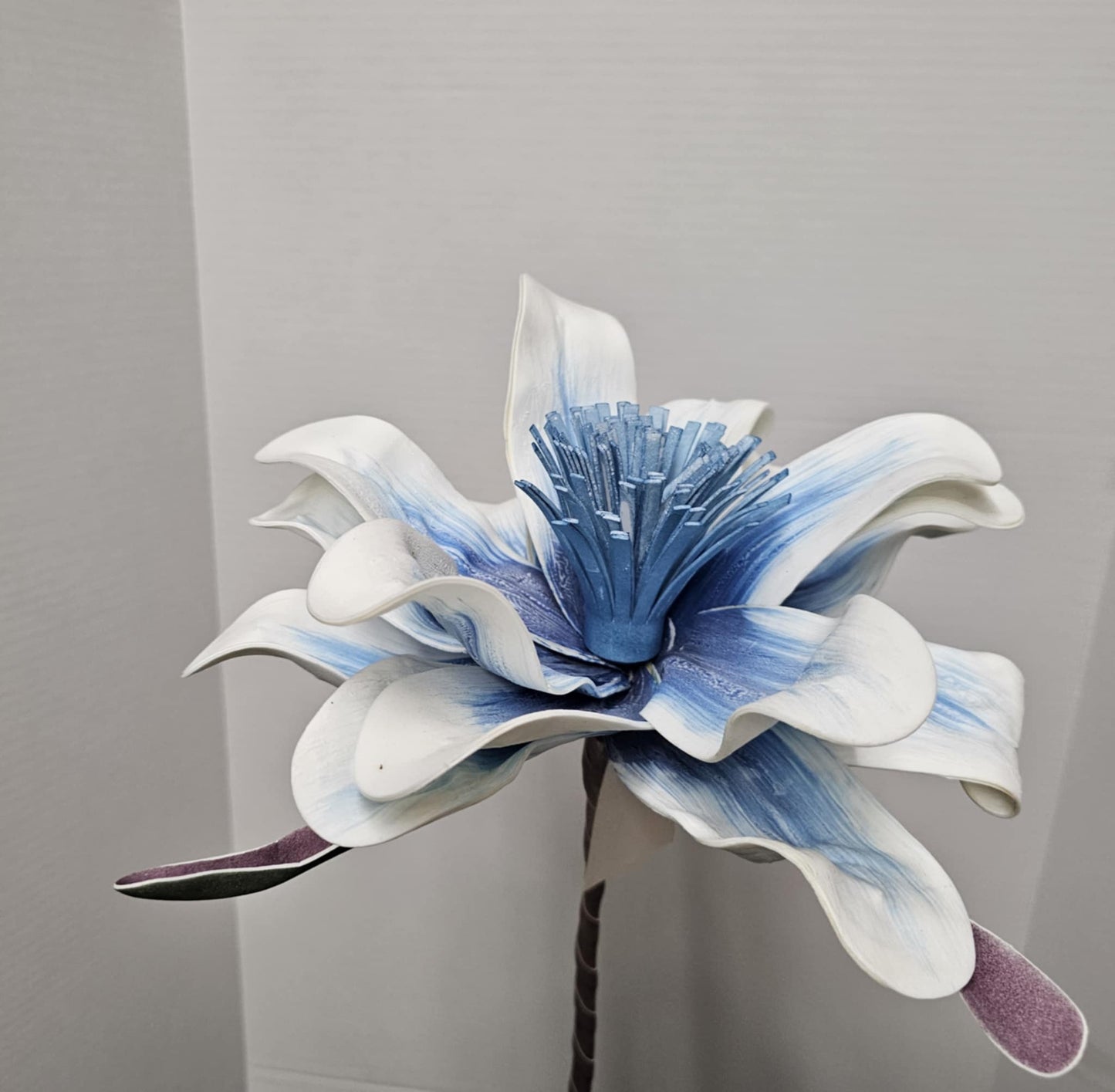 Exotic Magnolia