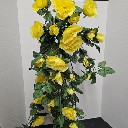 Rose Hangea Bush