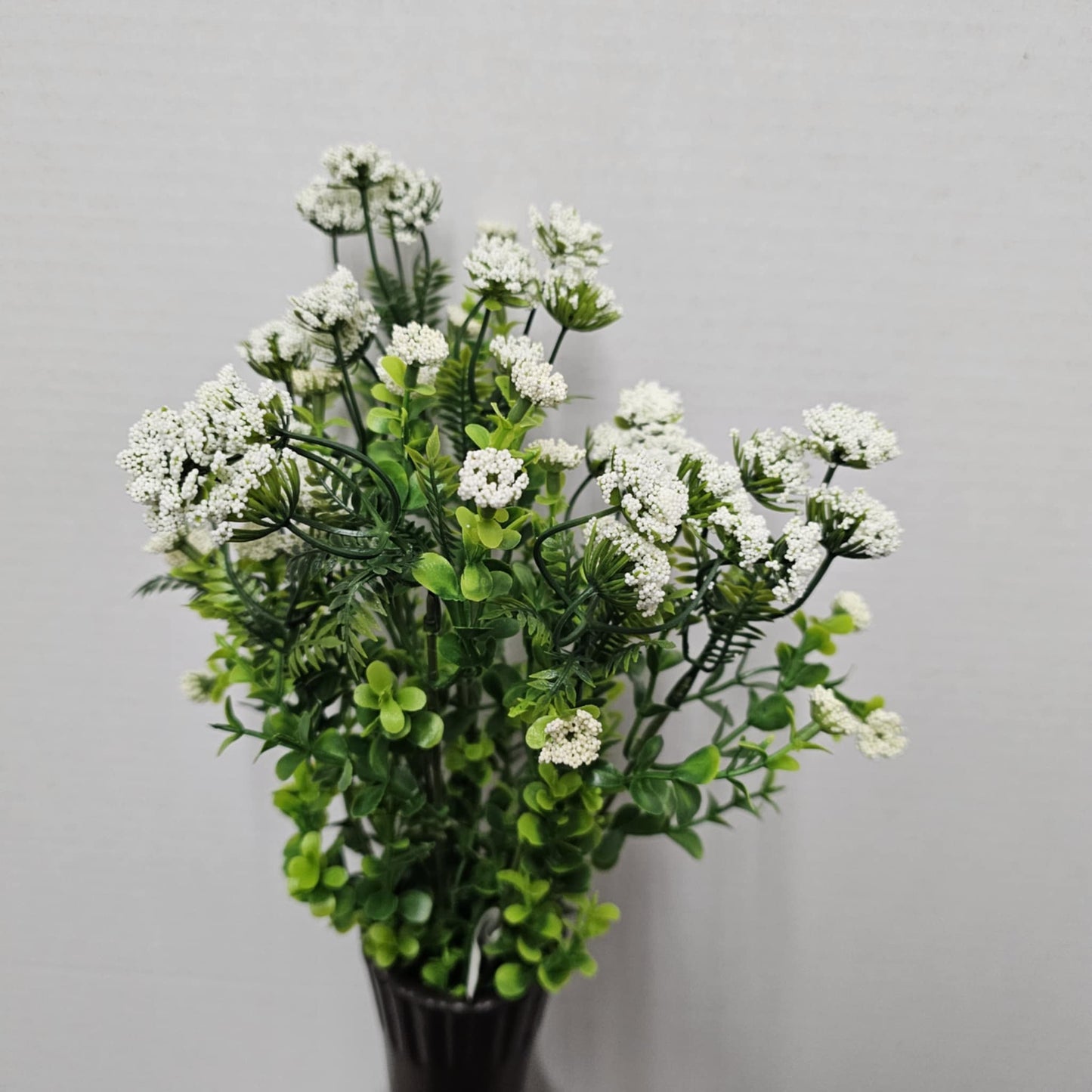 19" Queen Ann Lace Bush