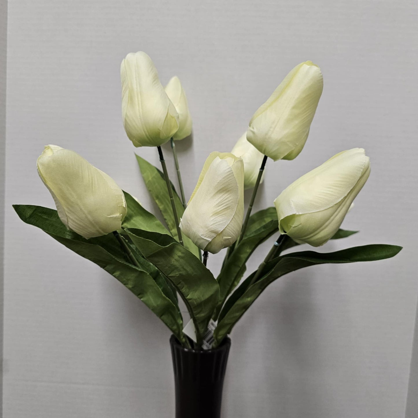 21" Tulip Bush