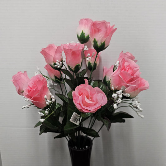 Rose Bud Bush