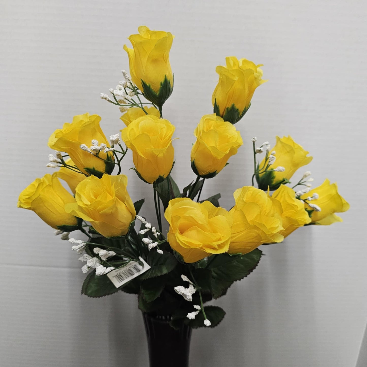 Rose Bud Bush
