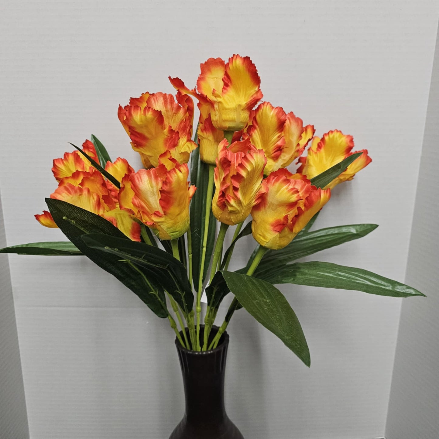 Tulip Bush