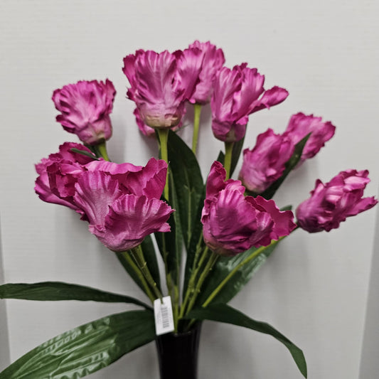 Tulip Bush