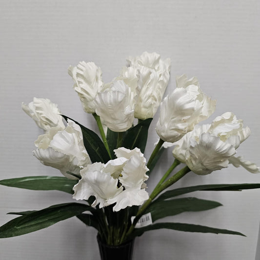 82526-CR - 21" Tulip Bush