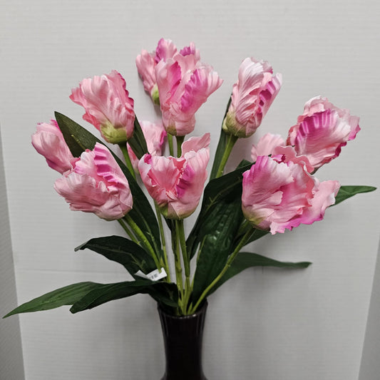 82526-PK - 21" Tulip Bush