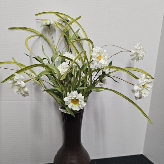 Daisy Bush