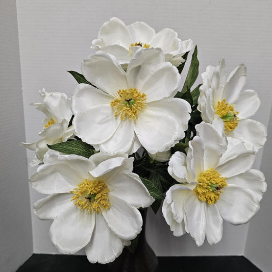52371-CR - Magnolia Bush