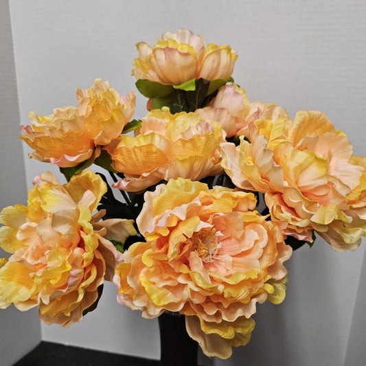 Peony Bush